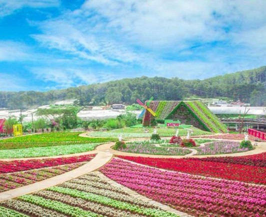 fresh-garden-dalat