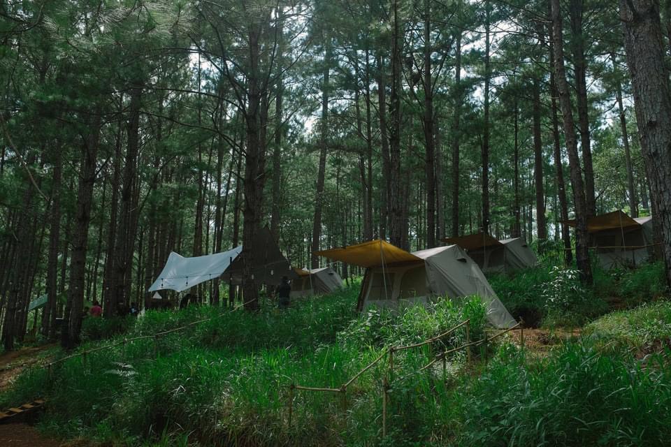 CAMPING DALAT