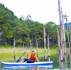 Chèo Thuyền Sup Đà Lạt: Cho Thuê, Tổ Chức Teambuilding Đà Lạt, Tour Sự Kiên