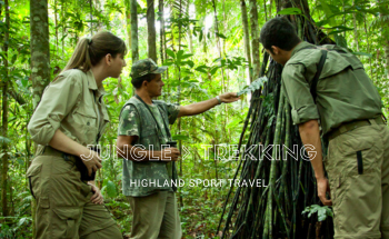 TREKKING-ELEPHANT JUNGLE